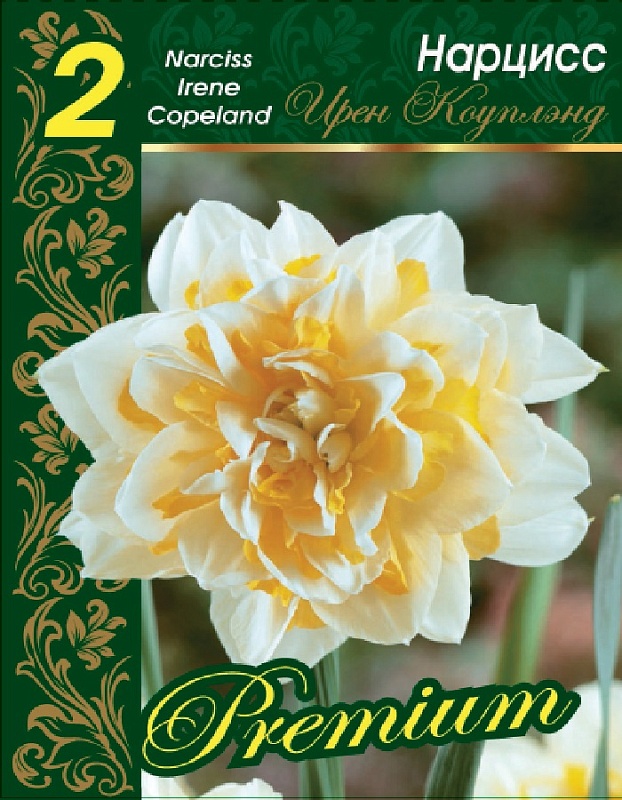 Нарцисс Ирен Коупленд 1 уп.(2 шт.) 